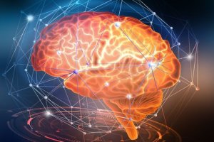 Introdução à Neuropsicopedagogia